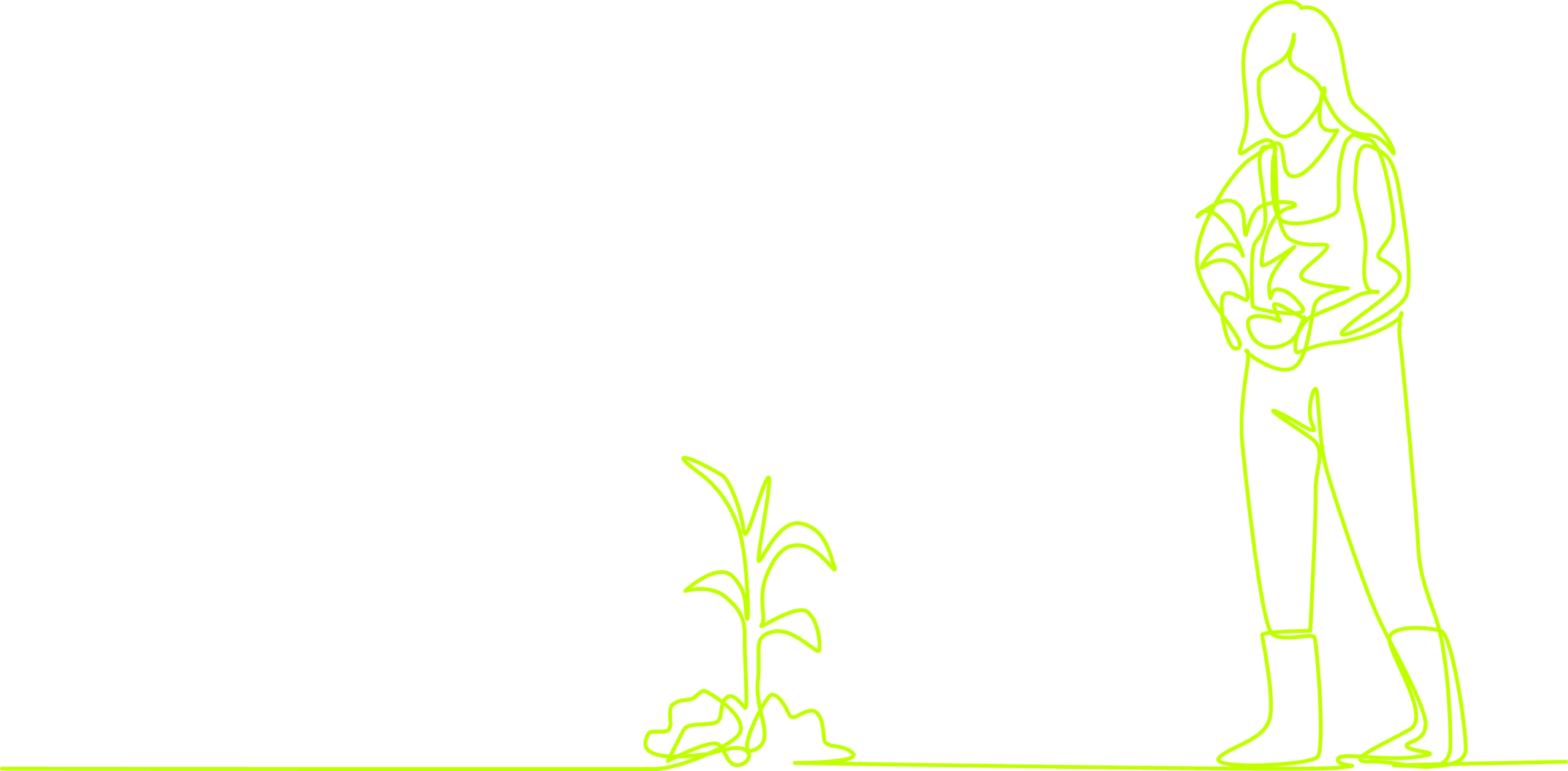 Woman planting plants Woman planting plants